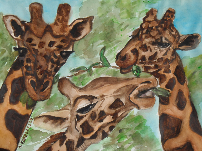 3 Giraffes Greeting Card © Anjuli 2017
