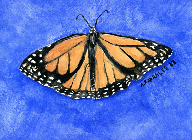 Monarch Butterfly on Blue Greeting Card © Anjuli 2017