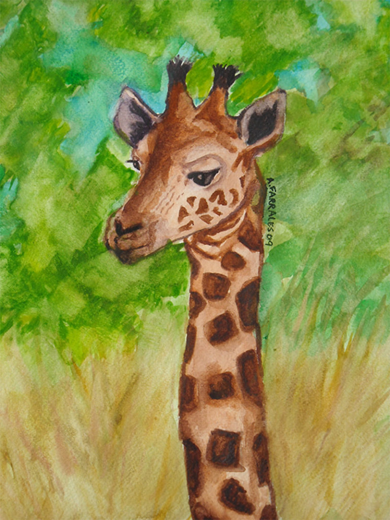 Baby Giraffe Greeting Card © Anjuli 2017