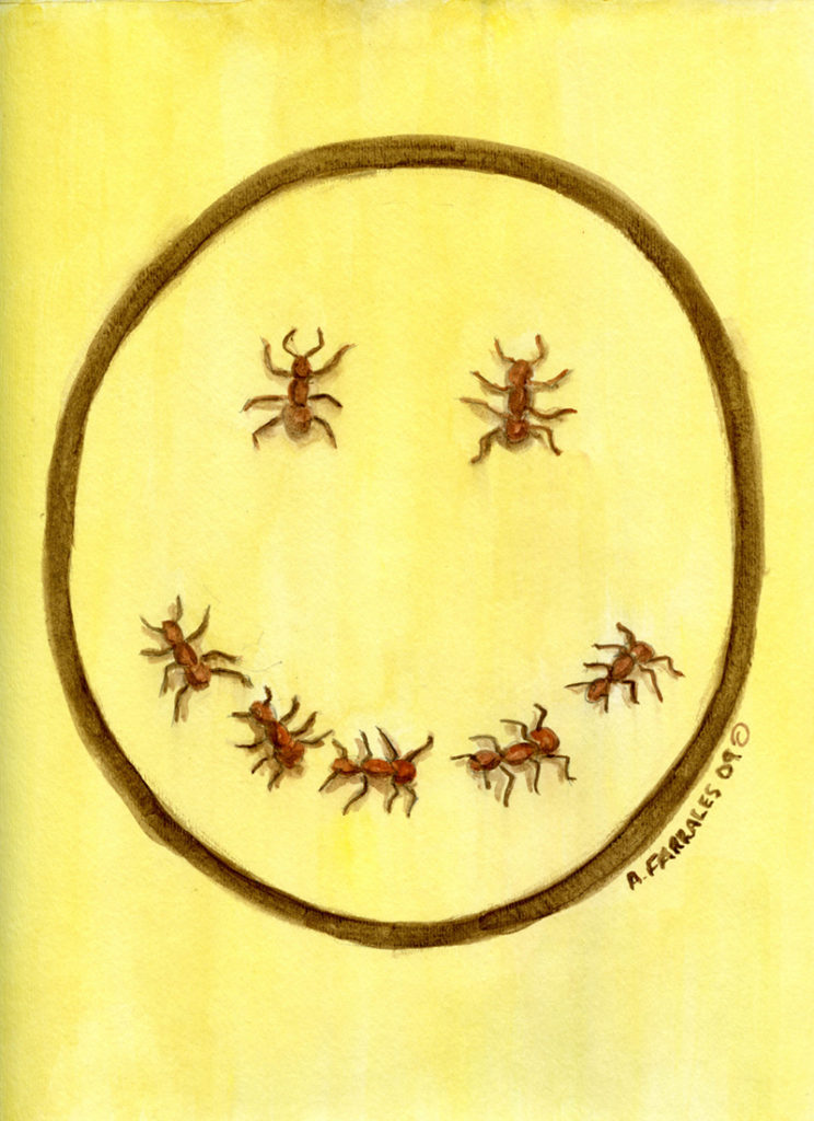 Smiley Ants Greeting Card © Anjuli 2017