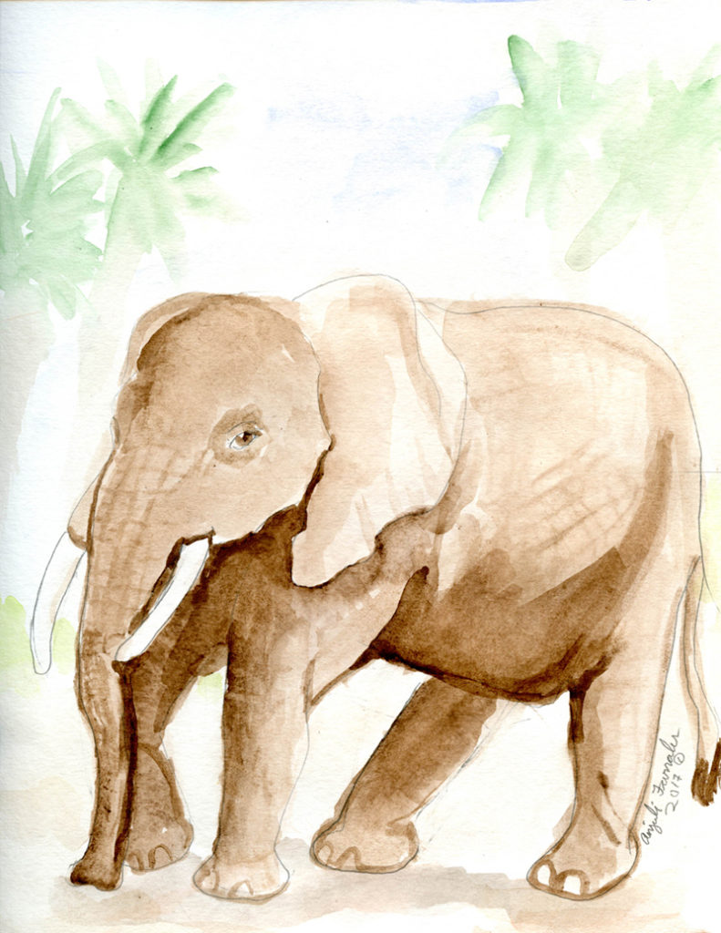 Brown Elephant Greeting Card © Anjuli 2017