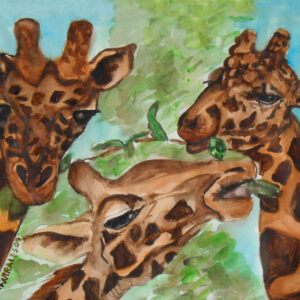Giraffes 3