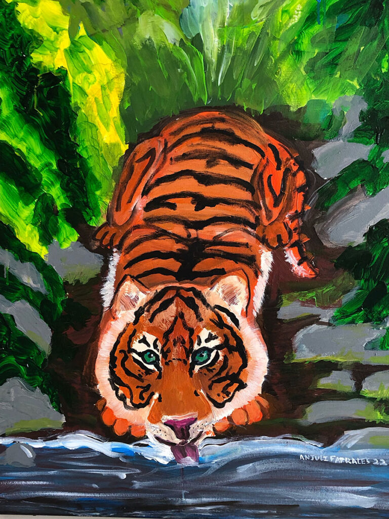 Tiger © Anjuli 2022